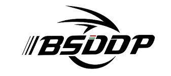 BSDDP